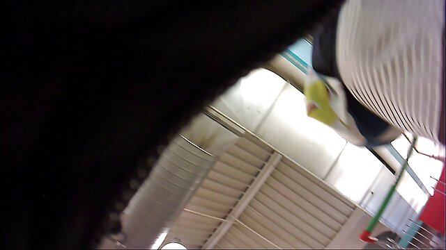 Najlepsze porno :  Scena uwielbienia cycków z krętą brunetką, porno filmy z mamuskami ukochaną Stacy Jay Seksowne filmy porno 